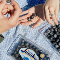 Супер великі чорниці Fruitist