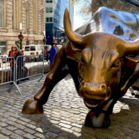 Графік зростання акцій Nvidia